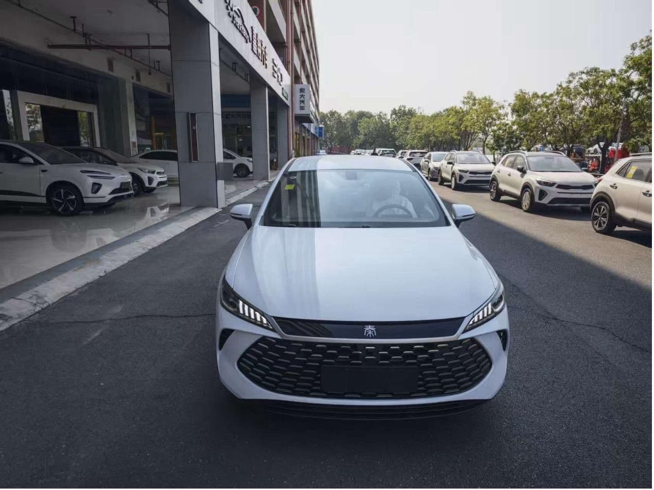Byd Qin Plus